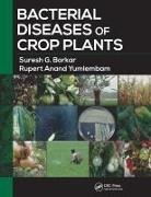 Suresh G. Borkar, Suresh G. Yumlembam Borkar, Borkar Suresh G., Rupert Anand Yumlembam, Yumlembam Rupert Anand - Bacterial Diseases of Crop Plants