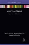 Mara Cameran, Mara Ditillo Cameran, Angelo Ditillo, Ditillo Angelo, Angela Pettinicchio - Auditing Teams
