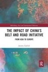 Jeremy Garlick, Jeremy (University of Economics in Prague Garlick - Impact of Chinas Belt and Road Initiative