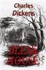 Charles Dickens - Bleak House