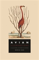 Borax Sax, Boria Sax, Sax Boria - Avian Illuminations