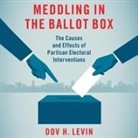 Dov H. Levin, Lewis Arlt - Meddling in the Ballot Box: The Causes and Effects of Partisan Electoral Interventions (Audio book)