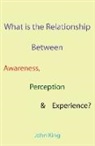 John King - What is the Relationship Between Awareness, Perception & Experience?