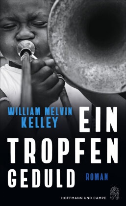 William Melvin Kelley - Ein Tropfen Geduld - Roman