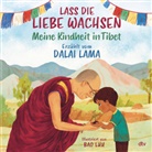 Dalai Lama, Dalai Lama XIV., Dalai Lama, Bao Luu - Lass die Liebe wachsen - Meine Kindheit in Tibet