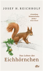 Josef H Reichholf, Josef H. Reichholf - Das Leben der Eichhörnchen