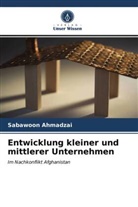Sabawoon Ahmadzai - Entwicklung kleiner und mittlerer Unternehmen