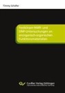 Timmy Schäfer - Festkörper-NMR- und DNP-Untersuchungen an anorganisch-organischen Funktionsmaterialien