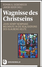 Roma A Siebenrock, Roman A Siebenrock, Geier, Geier, Jakob Geier, Roman A. Siebenrock - Wagnisse des Christseins