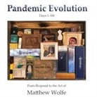 Hayley Haugen - Pandemic Evolution