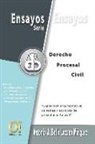Antonio Belllo Lozano Márquez, Antonio J. Bello Lozano Márquez, Orlando Dj Hernández - Ensayos de Derecho Procesal Civil: Exposición argumentativa de temas y acciones de procedimiento civil