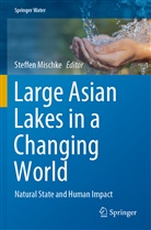 Steffe Mischke, Steffen Mischke - Large Asian Lakes in a Changing World