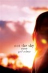 Gail Ashton - Not the Sky - A Memoir