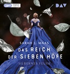 Sarah J Maas, Sarah J. Maas, Ann Vielhaben - Das Reich der sieben Höfe - Teil 5: Silbernes Feuer, 3 Audio-CD, 3 MP3 (Hörbuch)