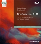 Einar Schleef, Gertru Schleef, Gertrud Schleef, Jutta Hoffmann, Thomas Thieme - Briefwechsel I + II, 1 Audio-CD, 1 MP3 (Audio book)