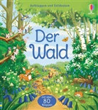 Minna Lacey, Bao Luu - Aufklappen und Entdecken: Der Wald