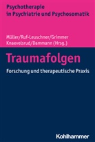 Cord Benecke, Gerhard Dammann, Bernhard Grimmer, Bernhard Grimmer u a, Christine Knaevelsrud, Rainer Krähenmann... - Traumafolgen