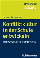 Helmolt Rademacher, Fred Berger, Wilfrie Schubarth, Wilfried Schubarth, Sebastian Wachs, Sebastian Wachs u a... - Konfliktkultur in der Schule entwickeln