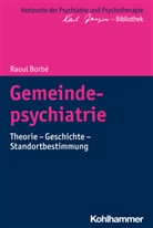 Raoul Borbé, Matthias Bormuth, Andrea Heinz, Andreas Heinz, Markus Jäger - Gemeindepsychiatrie