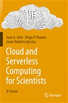 Juan Añel, Juan A Añel, Juan A. Añel, Diego Montes, Diego P Montes, Diego P. Montes... - Cloud and Serverless Computing for Scientists