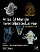 Michael J. (Biologist and Principal Investi Boyle, Craig M. (Oregon Institute of Marine Biolog Young, Craig M. (Professor of Biology Young, Craig M. (Professor of Biology and Director Young, Michael Boyle, Michael J. Boyle... - Atlas of Marine Invertebrate Larvae