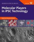 Alexander (EDT) Birbrair, Alexander Birbrair - Molecular Players in Ipsc Technology