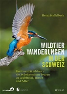 Heinz Staffelbach, Heinz Staffelbach - Wildtier-Wanderungen in der Schweiz