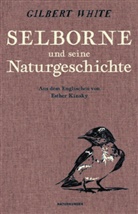 Esther Kinsky, Gilbert White, Esther Kinsky, Judith Schalansky - Selborne und seine Naturgeschichte