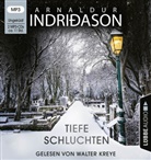 Arnaldur Indriðason, Walter Kreye - Tiefe Schluchten, 2 Audio-CD, 2 MP3 (Audio book)