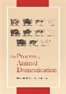 Marcelo Sanchez-Villagra, Marcelo Sánchez-Villagra - The Process of Animal Domestication