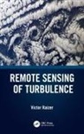 Victor Raizer, Victor (Ieee Fellow) Raizer - Remote Sensing of Turbulence