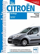 Christoph Pandikow - Citroen Berlingo