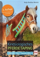Katja Bredlau-Morich - Kinesiologisches Pferdetaping