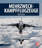 Heiko Thiesler - Mehrzweckkampfflugzeuge
