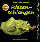 Andreas Fischer-Nagel, Heideros Fischer-Nagel, Heiderose Fischer-Nagel - Riesenschlangen
