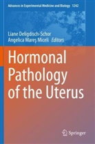 Lian Deligdisch-Schor, Liane Deligdisch-Schor, Angelica Mare¿ Miceli, Mares Miceli, Mares Miceli, Angelica Mares Miceli - Hormonal Pathology of the Uterus