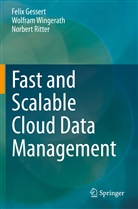 Feli Gessert, Felix Gessert, Norbert Ritter, Wolfra Wingerath, Wolfram Wingerath - Fast and Scalable Cloud Data Management