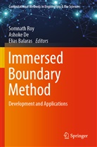 Elias Balaras, Ashok De, Ashoke De, Somnath Roy - Immersed Boundary Method