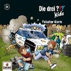 Falscher Alarm (Hörbuch)