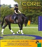 Visconte Simon Cocozza - Core-Training für Pferde