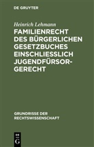Heinrich Lehmann - Familienrecht des Bürgerlichen Gesetzbuches einschließlich Jugendfürsorgerecht