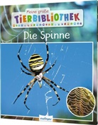 Dr Jens Poschadel, Dr. Jens Poschadel, Jens Poschadel, Jens (Dr.) Poschadel - Meine große Tierbibliothek: Die Spinne
