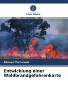 Ahmed Dahmeni - Entwicklung einer Waldbrandgefahrenkarte