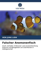 HON JUNG LIEW - Falscher Anemonenfisch