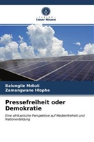 Zamangwane Hlophe, Balungil Mdluli, Balungile Mdluli - Pressefreiheit oder Demokratie