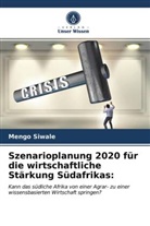Mengo Siwale - Szenarioplanung 2020 für die wirtschaftliche Stärkung Südafrikas:
