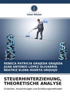 Rebeca Patrici Grajeda Grajeda, Rebeca Patricia Grajeda Grajeda, Beatriz Elena Huerta Urquijo, López Olivarría, Juan Antonio López Olivarría - STEUERHINTERZIEHUNG, THEORETISCHE ANALYSE