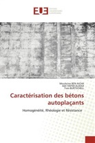 Mouhcine BEN AICHA, Yves Burtschell, Adil Hafidi Alaoui - Caractérisation des bétons autoplaçants