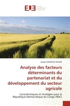 Joseph KASONGO NGUBA - Analyse des facteurs déterminants du partenariat et du développement du secteur agricole