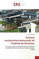 Valentin Sana - Analyse socioenvironnementale de l'habitat de Kinshasa